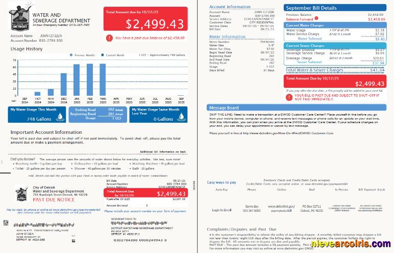 USA Detroit Water and Sewerage Department utility bill, 2 pages, version 2